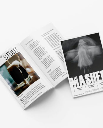 mashed homebrewing magazine stout issue 10
